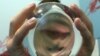 S. Koreans Hope Fortune Tellers Point Way to Top of Class