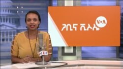 ጋቢና ቪኦኤ