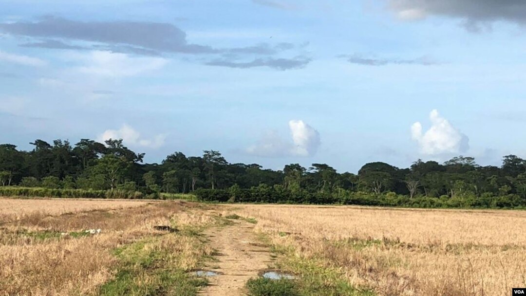 Este camino ubicado en una finca en el cantón Upala ha sido usado por los nicaragüenses para ingresar Costa Rica, sobre todo tras el estallido de las protestas y la crisis sociopolitica en el país centroamericano. [Foto: Armando Gómez]