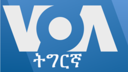ፈነወ ትግርኛ ሓሙስ