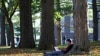 Humanities Fight to Survive in High-Tech World