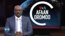 Tamsaasa Guyaadhaa Guyyaa