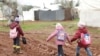 Syria's Children are Victims of Country's Decade of War