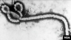 AHN What is Ebola?
