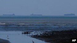 Aves se posan cerca de un bosque de manglares bajo protección ambiental en Ciudad de Panamá, el 1 de marzo de 2023. Panamá es sede desde el 2 al 3 de marzo de la VIII Conferencia Our Oceans, donde jóvenes líderes y gobiernos discuten cómo salvar los recursos marinos.