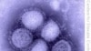 Castro Says Increased US Visits Helped Spread H1N1 in Cuba