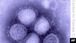 Castro Says Increased US Visits Helped Spread H1N1 in Cuba