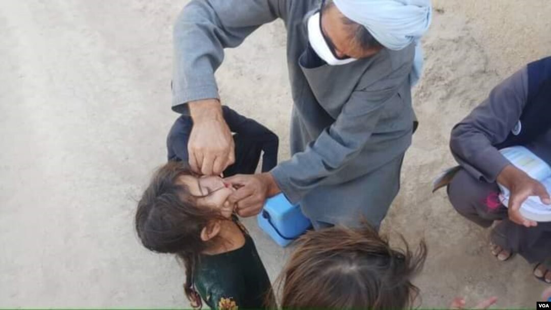 از سال ۲۰۱۴ به اینسو هیچ واقعه مثبت پولیو در غزنی ثبت نشده است