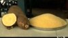 Researchers are adding vitamin A to the cassava, a wildly popular root across sub-Saharan Africa. (Courtesy International Institute of Tropical Agriculture) 