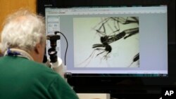 Las nuevas regulaciones sobre exposición al virus incluyen advertencias para personas que cuidan a mujeres embarazadas posiblemente infectadas con el Zika.