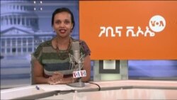 ጋቢና ቪኦኤ