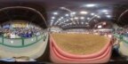 Texas Rodeo 1