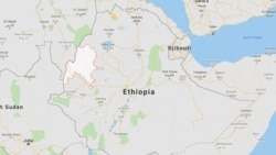 በቤኒሻንጉል መንግሥት "ፀረ ሰላም" ያላቸውን ኃይሎች አሰረ