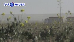 Manchetes Americanas 21 fevereiro: Continuam os combates na Síria, entre forças apoiadas pelos EUA e o Estado Islâmico