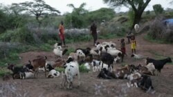 Poor Regions of Uganda Feeling the Heat of Climate Change