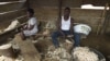 FILE - Cameroonian refugees make chewing sticks for cleaning teeth to earn a living at a temporary home in Agborkim town, Etung district of Cross Rivers State, southeast Nigeria, Feb. 2, 2018.