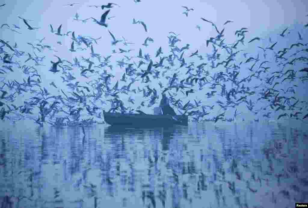 A man feeds seagulls as he rides a boat in the water of Yamuna river on a foggy winter morning in New Delhi, India.