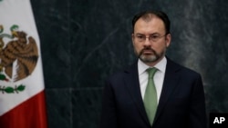 Canciller mexicano, Luis Videgaray. Hasta ahora se han negado a adherir a la declaración “aliados más próximos de Venezuela, como Ecuador, Bolivia, Nicaragua, El Salvador y la República Dominicana”.