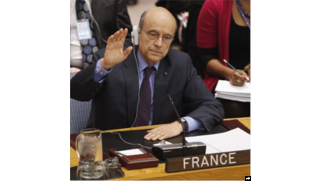 French Foreign Minister Alain Juppe votes in favor of a Libyan resolution during a Security Council Meeting at U.N. headquarters in New York, March 17, 2011