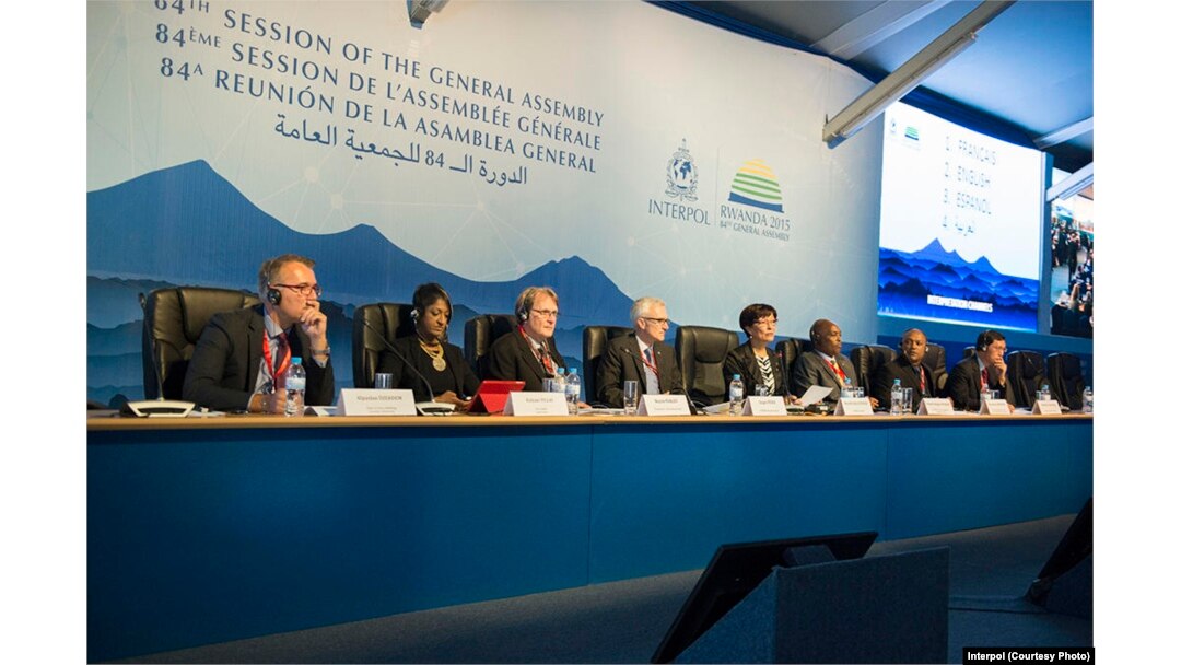 "Interpol" yig'ini, 2015