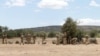 Kenya Police: 3 Arrested Trying to Enter British Army Camp