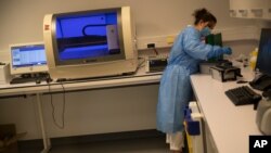 FILE - A woman works with collected samples for a COVID-19 PCR test a hospital in Liege, Belgium, May 8, 2020. 