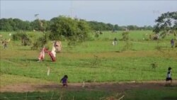 Empresarios culpan al gobierno de Nicaragua por invasiones de propiedades