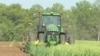 Study: Organic, Conventional Farmers Must Team Up to Feed World