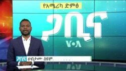 ጋቢና ቪኦኤ