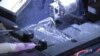 'Beating' Human Heart Cells Help Spur Drug Discovery