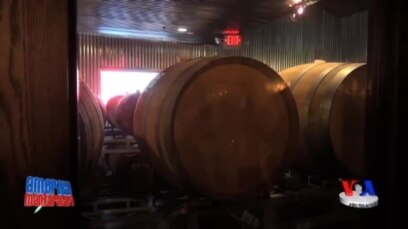Kichik pivo zavodlarida - Craft brewery