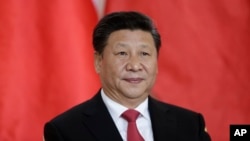 中国领导人习近平(资料照片)