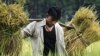 Hunger in Focus: Three Questions with HarvestPlus