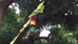 Guineenses celebram independência com arte e gastronomia em Bissau