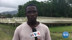 São Tomé aposta no chocolate da terra que não tem comparação com mais nenhum