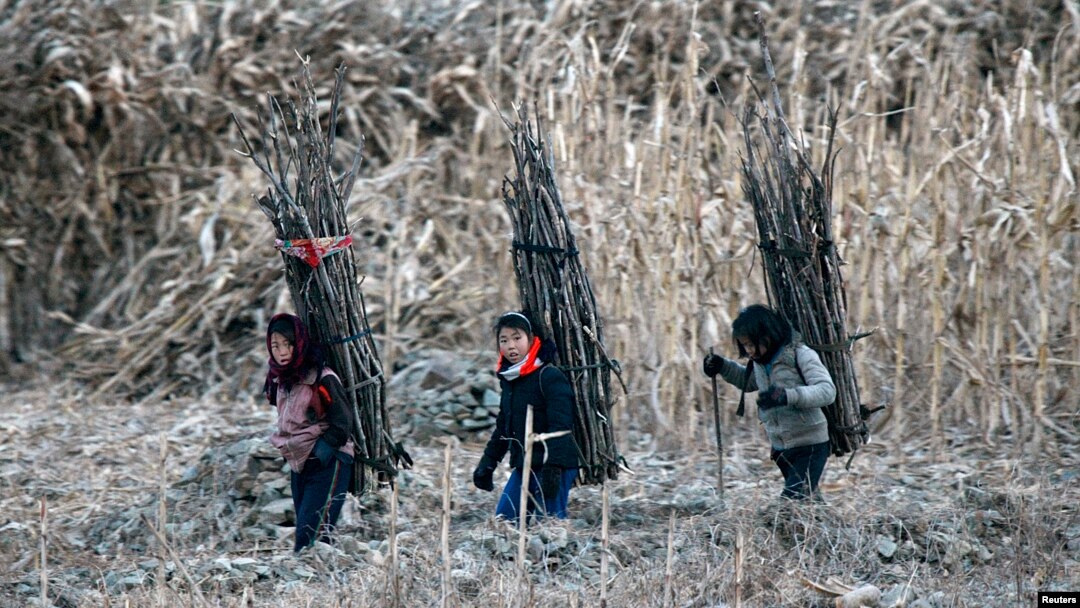 지난달 16일 북-중 접경 지역인 신의주의 압록강변에서 북한 소녀들이 땔감을 나르고 있다.