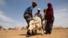 Scientific Meeting Focuses on Impacts, Adaptation, Vulnerability to Climate Change