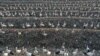FILE - Storks gather over discarded plastic at the Tovlan landfill in the Jordan Valley, in the Israeli-occupied West Bank, Feb. 18, 2022. 