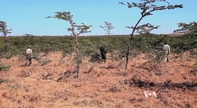 Kenya’s Ol Pejeta Conservancy Driving Animals Away from Humans