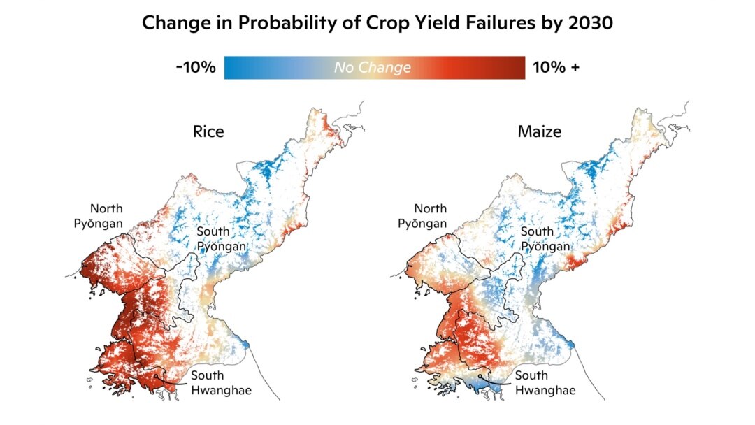 2030년까지 북한의 쌀과 옥수수 작황 실패 가능성을 분석한 지도. Map by Carl Churchill, Woodwell Climate Research Center