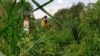 EU Reportedly to Hold Emergency Talks on Belarusian Migration Practices 