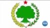 በእስር ላይ የሚገኙ የኦነግ አመራሮች የረሃብ አድማ ላይ መሆናቸውን ፓርቲው አስታወቀ