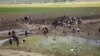 14 Killed in Clashes, Helicopter Crash in Southeast Turkey