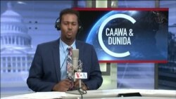 Caawa iyo Dunida