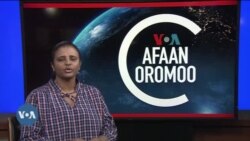 Tamsaasa Guyaadhaa Guyyaa