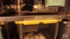 Researchers Reverse Aging in Mice With Stem Cells