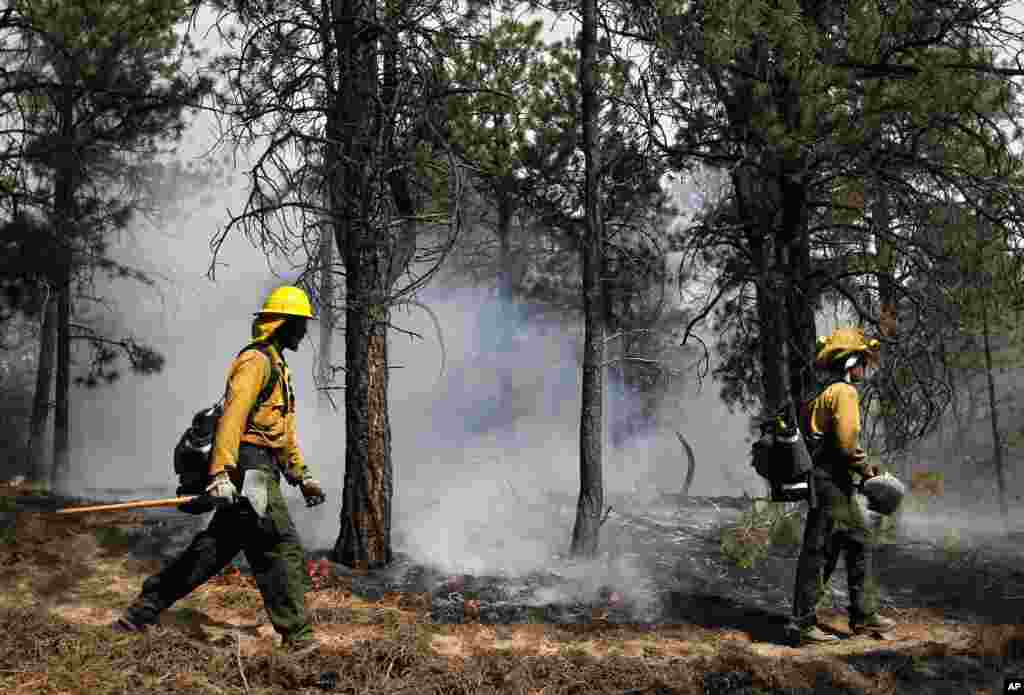 AmeriCorps volunteer firefighters help contain a spot fire in an evacuated area of forest, ranches and residences, in the Black Forest wildfire area, north of Colorado Springs, Colorado, June 13, 2013.