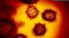 Smallpox Eradication 40 Years Ago Has Parallels With Coronavirus Pandemic 