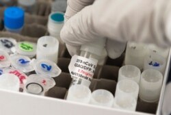 FILE - A researcher lifts a vial with a potential COVID-19 vaccine at Novavax labs in Gaithersburg, Maryland, March 20, 2020, one of the labs developing a vaccine for the coronavirus.