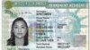 US Green Card sample 